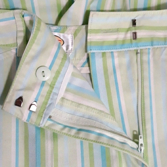 TALBOTS Striped Stretch Flat Front Straight Leg Pants - Picture 9 of 9